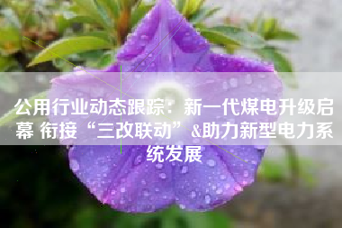 公用行业动态跟踪：新一代煤电升级启幕 衔接“三改联动”&助力新型电力系统发展