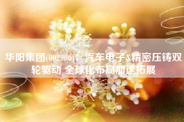 华阳集团(002906)：汽车电子&精密压铸双轮驱动 全球化布局加速拓展