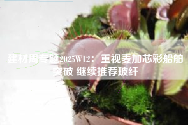 建材周专题2025W12：重视麦加芯彩船舶突破 继续推荐玻纤