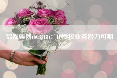 锦泓集团(603518)：IP授权业务潜力可期