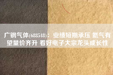 广钢气体(688548)：业绩短期承压 氦气有望量价齐升 看好电子大宗龙头成长性
