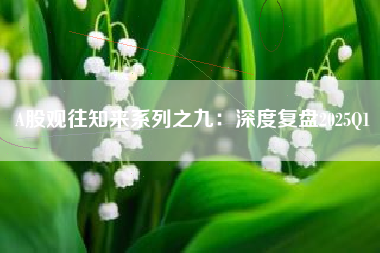 A股观往知来系列之九：深度复盘2025Q1