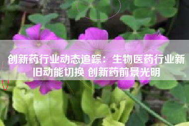 创新药行业动态追踪：生物医药行业新旧动能切换 创新药前景光明