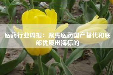 医药行业周报：聚焦医药国产替代和底部优质出海标的