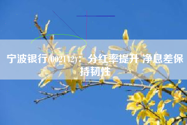 宁波银行(002142)：分红率提升 净息差保持韧性