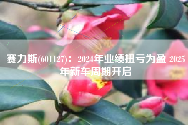 赛力斯(601127)：2024年业绩扭亏为盈 2025年新车周期开启