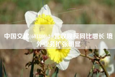 中国交建(601800)：营收规模同比增长 境外业务扩张明显