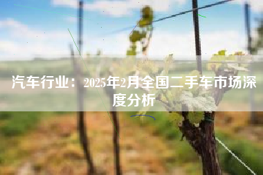汽车行业：2025年2月全国二手车市场深度分析
