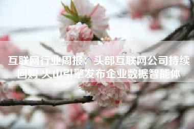 互联网行业周报：头部互联网公司持续回购 火山引擎发布企业数据智能体