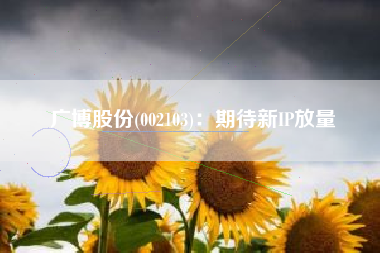 广博股份(002103)：期待新IP放量
