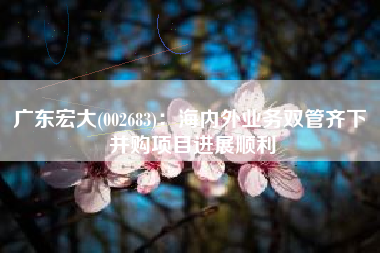 广东宏大(002683)：海内外业务双管齐下 并购项目进展顺利