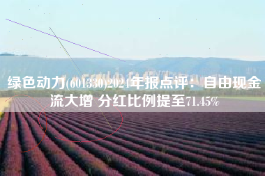 绿色动力(601330)2024年报点评：自由现金流大增 分红比例提至71.45%