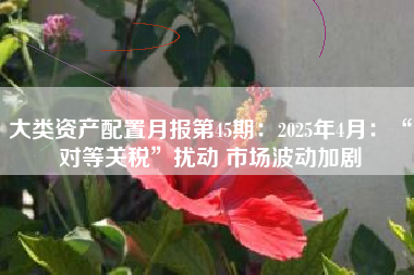 大类资产配置月报第45期：2025年4月：“对等关税”扰动 市场波动加剧