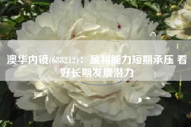 澳华内镜(688212)：盈利能力短期承压 看好长期发展潜力