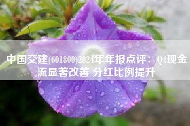 中国交建(601800)2024年年报点评：Q4现金流显著改善 分红比例提升
