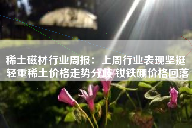 稀土磁材行业周报：上周行业表现坚挺 轻重稀土价格走势分歧 钕铁硼价格回落