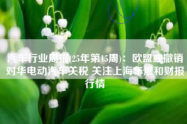 汽车行业周报(25年第15周)：欧盟或撤销对华电动汽车关税 关注上海车展和财报行情
