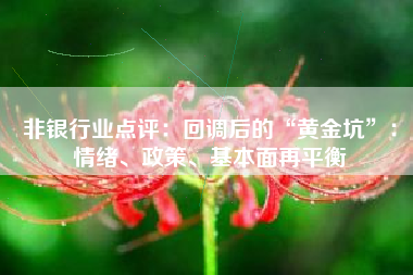 非银行业点评：回调后的“黄金坑”：情绪、政策、基本面再平衡