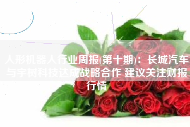 人形机器人行业周报(第十期)：长城汽车与宇树科技达成战略合作 建议关注财报行情