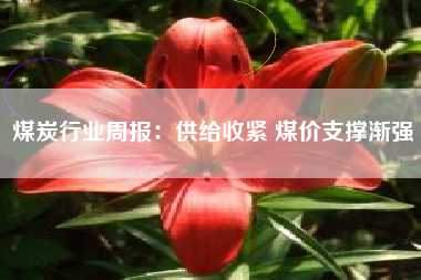 煤炭行业周报：供给收紧 煤价支撑渐强