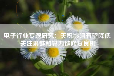 电子行业专题研究：关税影响有望降低 关注果链和算力链修复良机