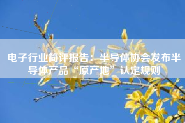电子行业简评报告：半导体协会发布半导体产品“原产地”认定规则