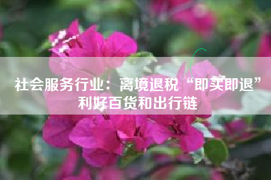 社会服务行业：离境退税“即买即退”利好百货和出行链