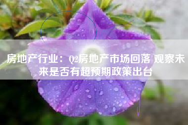 房地产行业：Q2房地产市场回落 观察未来是否有超预期政策出台