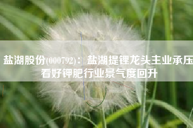 盐湖股份(000792)：盐湖提锂龙头主业承压 看好钾肥行业景气度回升