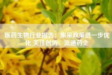 医药生物行业报告：集采政策进一步优化 关注创仿、流通药企