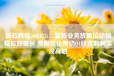 萤石网络(688475)：新拓业务放量拉动规模较好增长 费用优化带动Q1经营利润实现高增