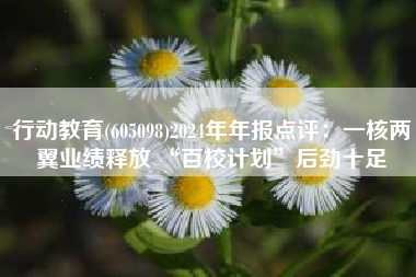 行动教育(605098)2024年年报点评：一核两翼业绩释放 “百校计划”后劲十足