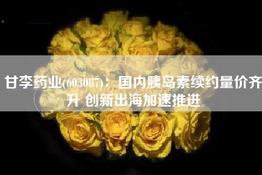 甘李药业(603087)：国内胰岛素续约量价齐升 创新出海加速推进