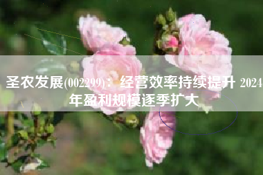 圣农发展(002299)：经营效率持续提升 2024年盈利规模逐季扩大