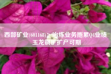西部矿业(601168)：冶炼业务拖累Q4业绩 玉龙铜矿扩产可期