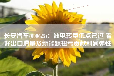 长安汽车(000625)：油电转型低点已过 看好出口增量及新能源扭亏贡献利润弹性
