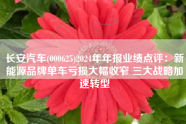 长安汽车(000625)2024年年报业绩点评：新能源品牌单车亏损大幅收窄 三大战略加速转型