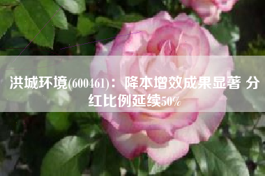 洪城环境(600461)：降本增效成果显著 分红比例延续50%