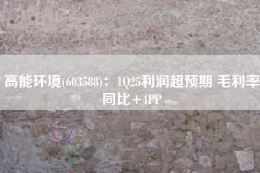 高能环境(603588)：1Q25利润超预期 毛利率同比+4PP