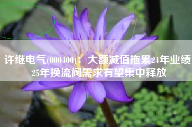 许继电气(000400)：大额减值拖累24年业绩 25年换流阀需求有望集中释放