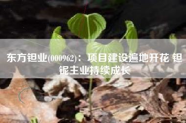 东方钽业(000962)：项目建设遍地开花 钽铌主业持续成长