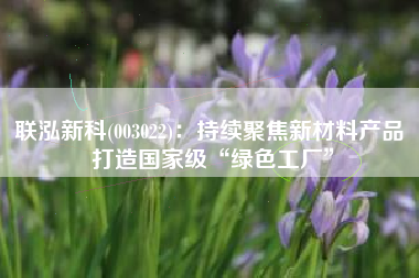 联泓新科(003022)：持续聚焦新材料产品 打造国家级“绿色工厂”