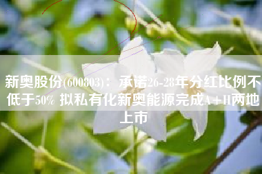 新奥股份(600803)：承诺26-28年分红比例不低于50% 拟私有化新奥能源完成A+H两地上市