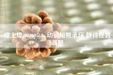 煌上煌(002695)：动销短期承压 静待经营调整