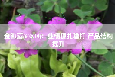 金徽酒(603919)：业绩稳扎稳打 产品结构提升