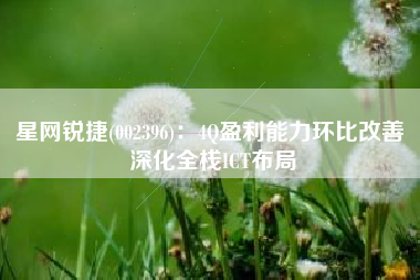 星网锐捷(002396)：4Q盈利能力环比改善 深化全栈ICT布局