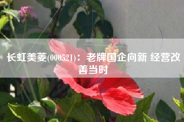 长虹美菱(000521)：老牌国企向新 经营改善当时