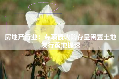 房地产行业：专项债收购存量闲置土地发行落地提速