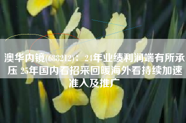 澳华内镜(688212)：24年业绩利润端有所承压 25年国内看招采回暖海外看持续加速准入及推广