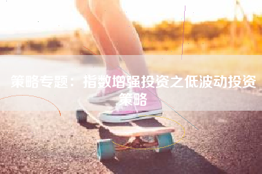 策略专题：指数增强投资之低波动投资策略
